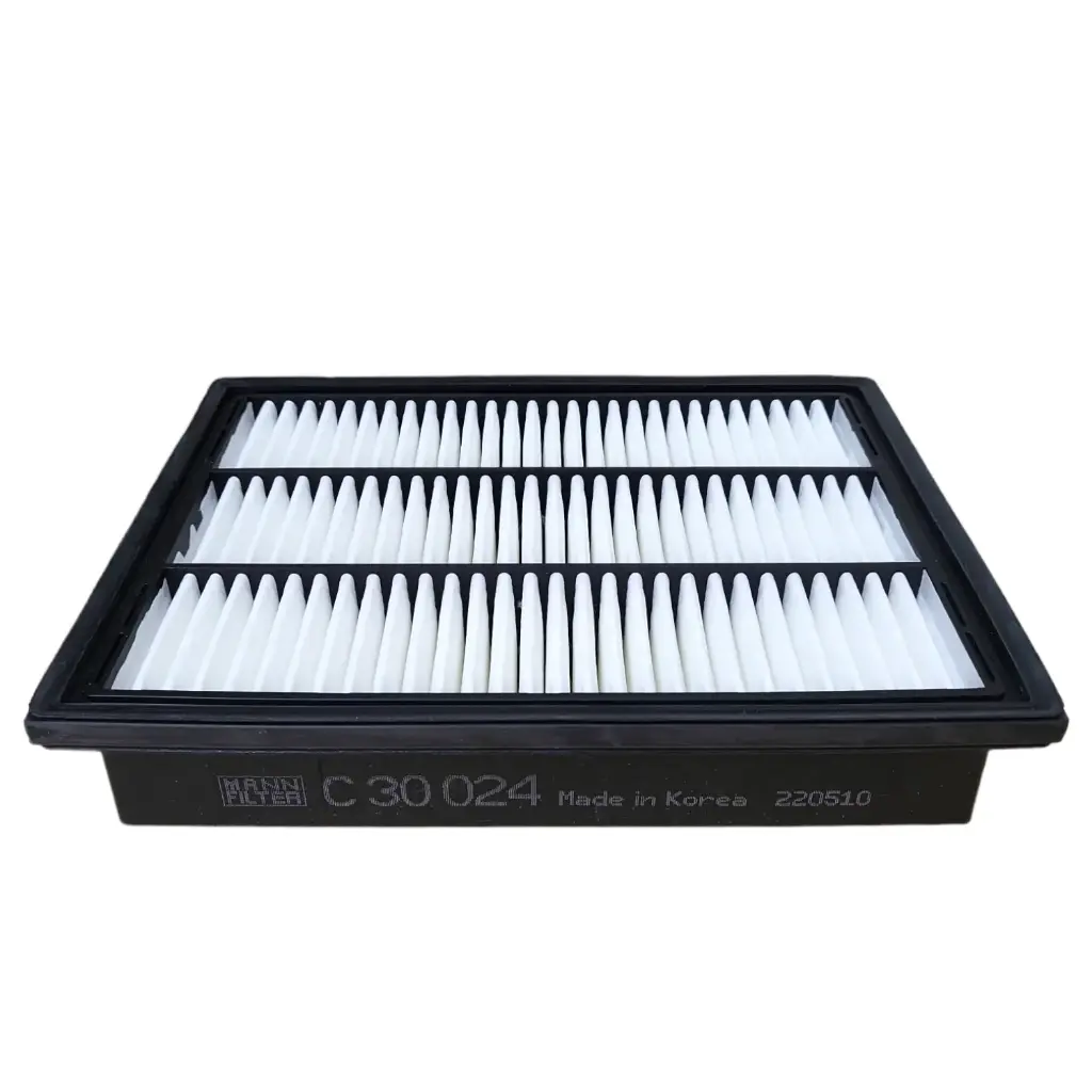 0825 CA11432 FILTRO DE AIRE