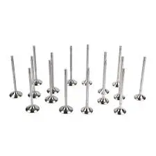 0825 MB-141-0 VALVULAS DE EX