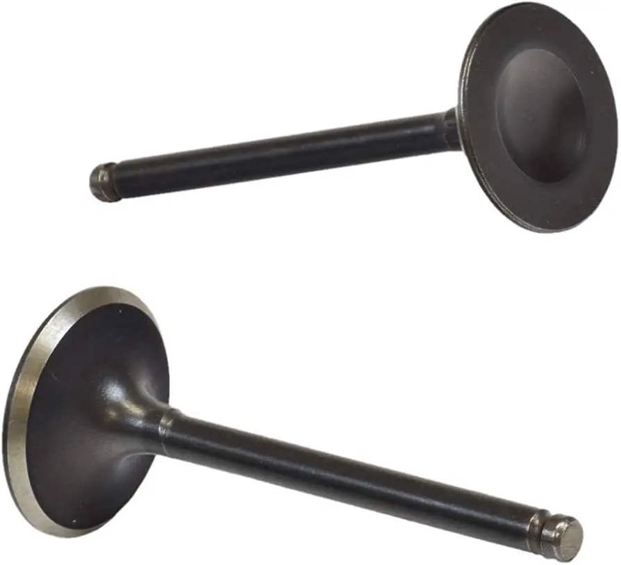 0825 EL236 RKY VALVULAS DE ADMISION 