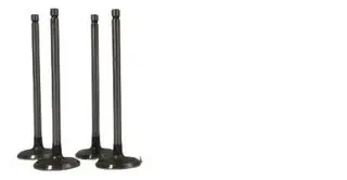 ETY-5591 VALVULAS DE ESCAPE