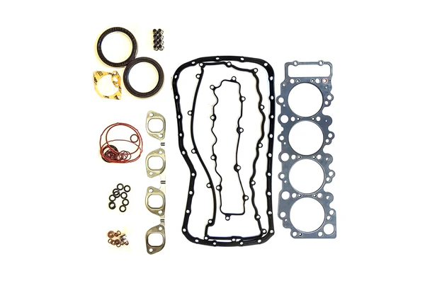 PFS01098-13 KIT DE EMPAQUE DE MOTOR